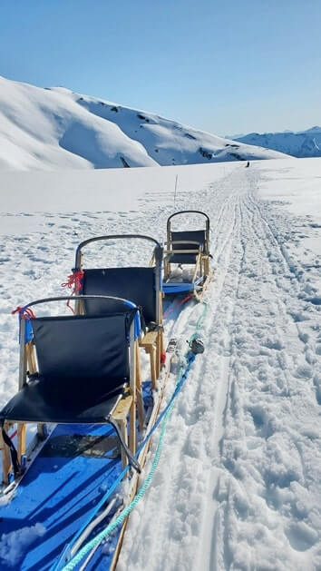 dog sled seats. best dog sledding tours in alaska. dog sledding tour in summer on snow. glacier landing. dog sledding excursion from cruise port
