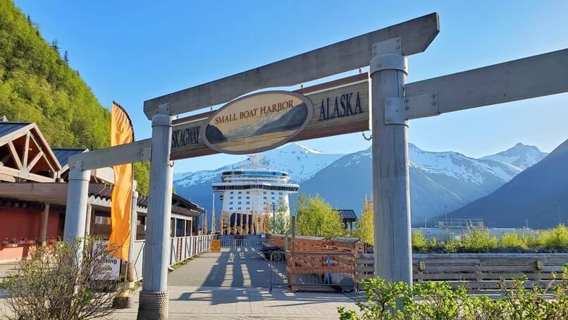 dog sledding excursion from cruise port. princess excursion dog sledding
