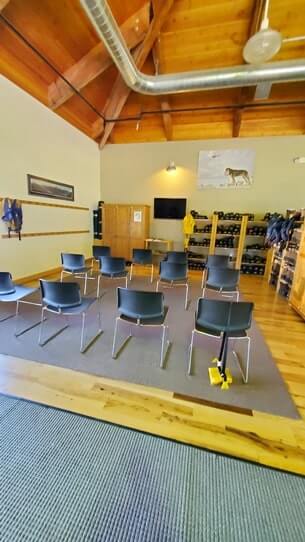 alaska dog sledding tour start