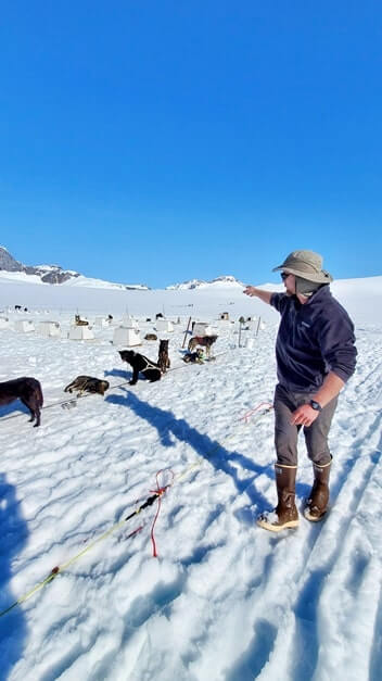 sled dog mushers camp on a glacier. alaska dog sledding tour