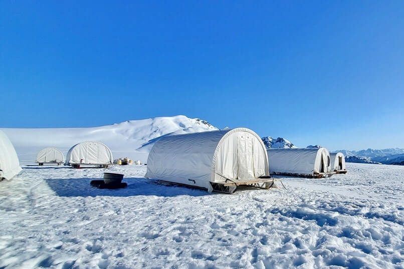 sled dog mushers camp on a glacier. alaska dog sledding tour