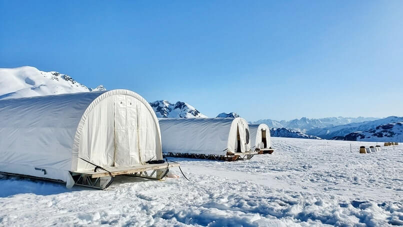 sled dog mushers camp on a glacier. alaska dog sledding tour