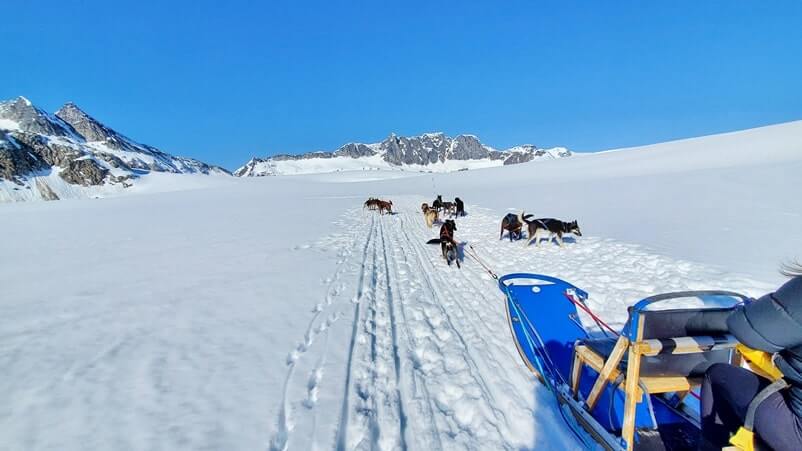 sled dog tour alaska