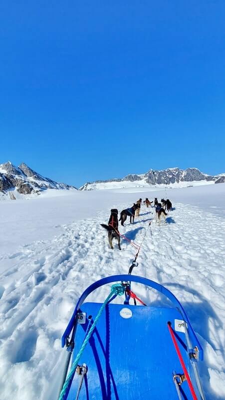 sled dog tour alaska