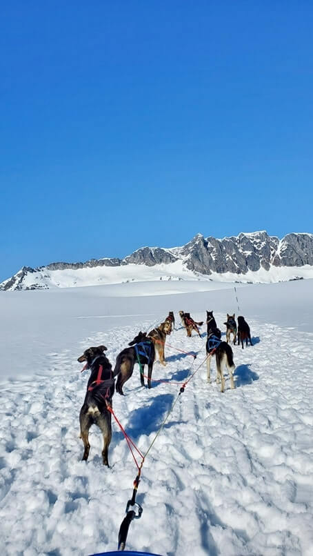 sled dog tour alaska