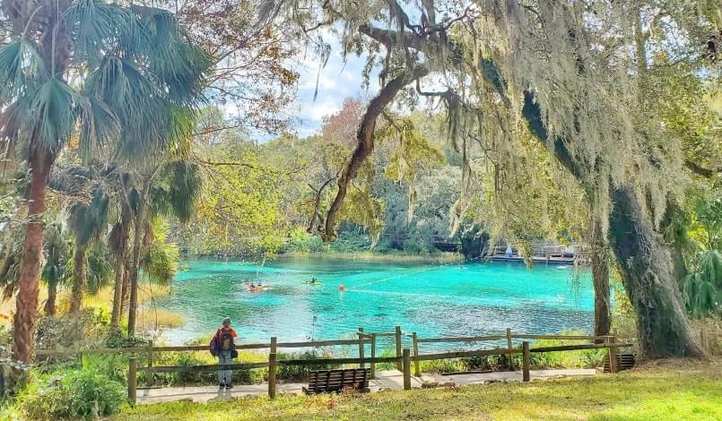best springs in florida. best springs near tampa