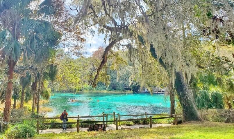 best springs in florida