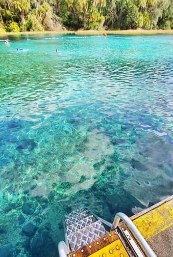 best florida springs for swimming