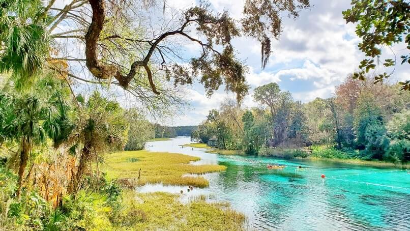 best springs to kayak in florida. best springs to swim in florida