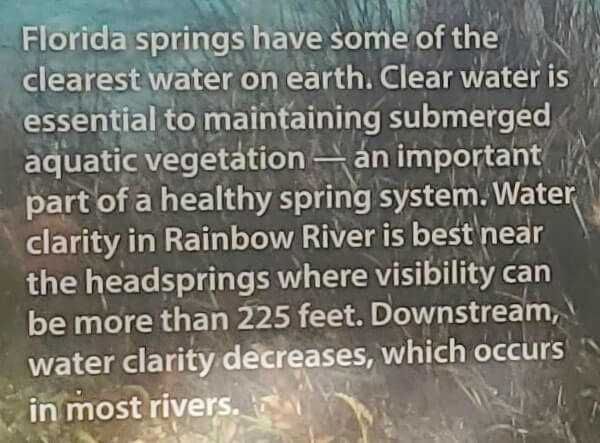 clearest springs in florida