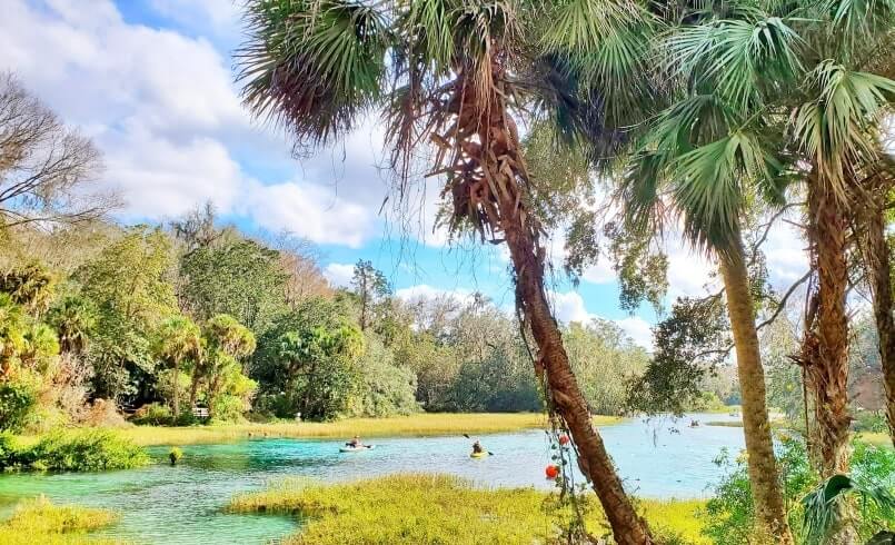 best springs to kayak in florida