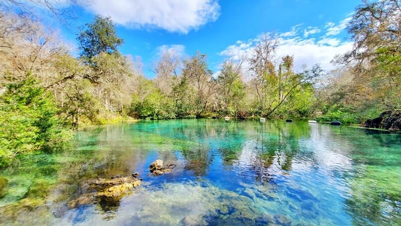 best springs in florida for swimming and snorkeling. best springs near gainesville. best springs near jacksonville.