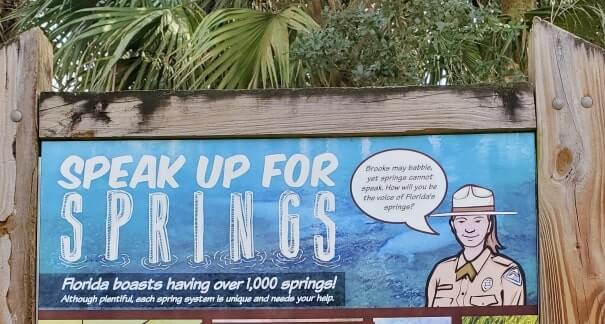 how many springs in florida
