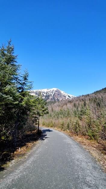 nugget falls trail