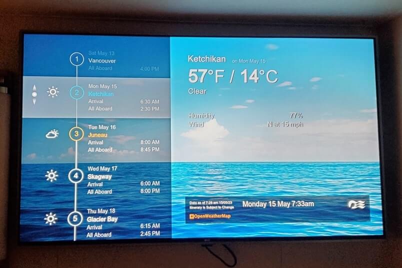 TV in a Princess cruise ship cabin?! ⚓ What can you watch on TV in your