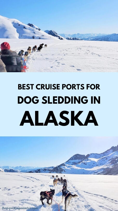 best dog sledding tours in alaska cruise ports. dog sledding in skagway or juneau
