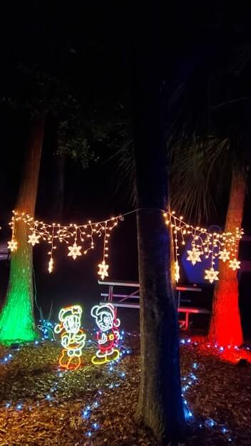 disney christmas decorations ideas. disney world in december. mickey mouse. minnie mouse. christmas lights
