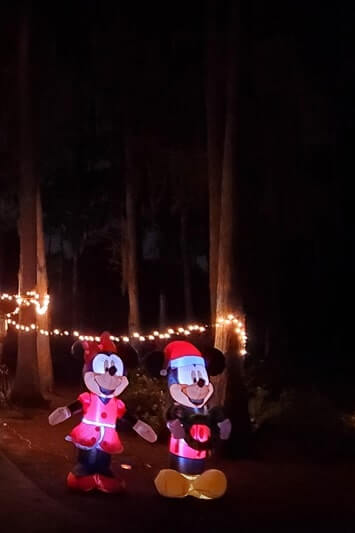 disney christmas decorations ideas. disney world in december. mickey mouse. minnie mouse. christmas lights at night