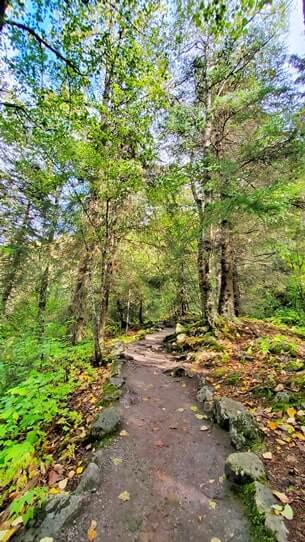 lower reid falls trail, skagway