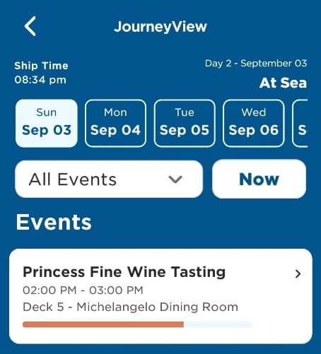 princess cruise wine tasting activities