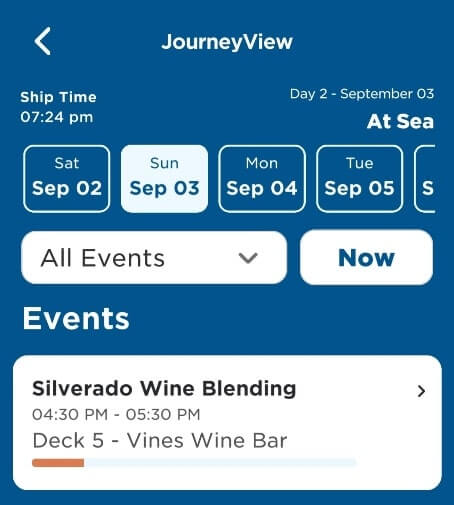 princess cruise wine tasting activities