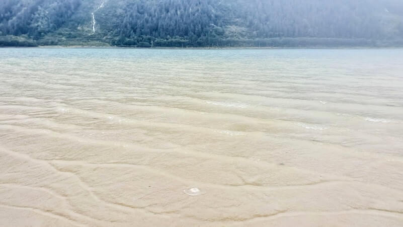 where to see jellyfish in juneau alaska