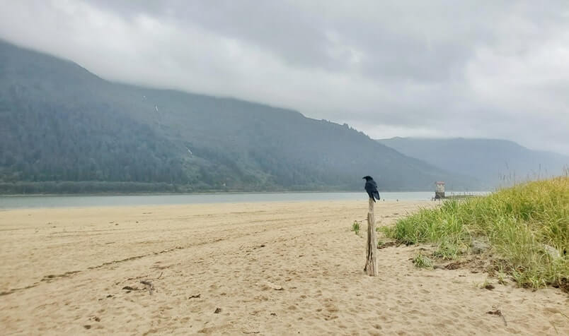sandy beach juneau. savikko park juneau