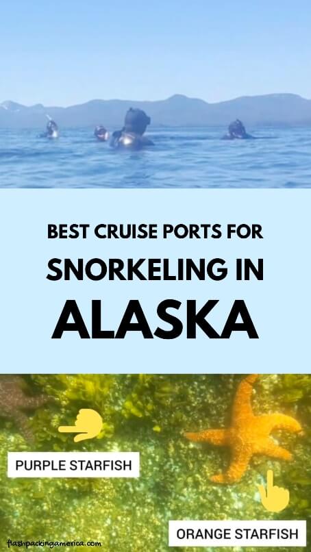 you can go snorkeling in alaska. snorkeling in alaska is worth it. you can snorkel in alaska in ketchikan and sitka. you can see jellyfish and starfish snorkeling in alaska