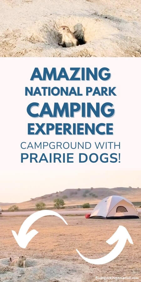 badlands national park campground prairie dog town. sage creek campground prairie dogs. camping with prairie dogs in badlands national park south dakota. wildlife camping