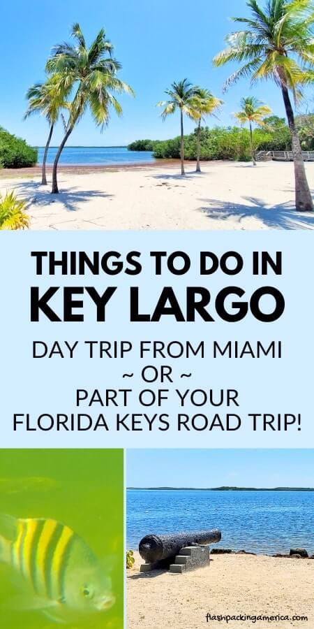 best key largo beaches. john pennekamp state park beaches. things to do in key largo florida