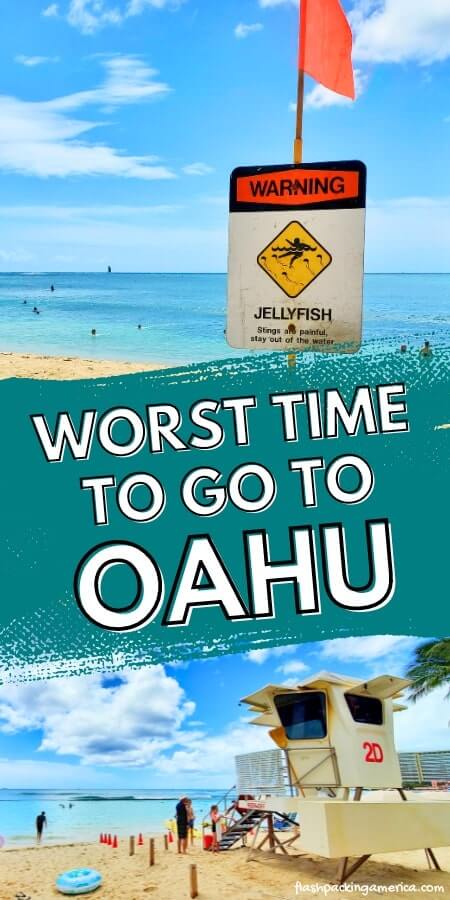 hawaii jellyfish season. worst time to visit hawaii. worst time to visit oahu. wost time to go to waikiki. best time to go to hawaii