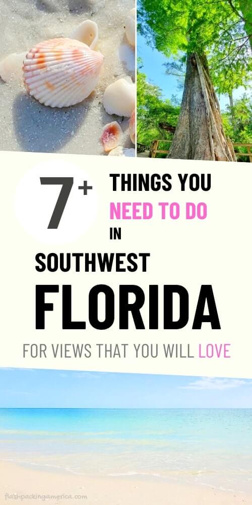 best things to do in southwest florida