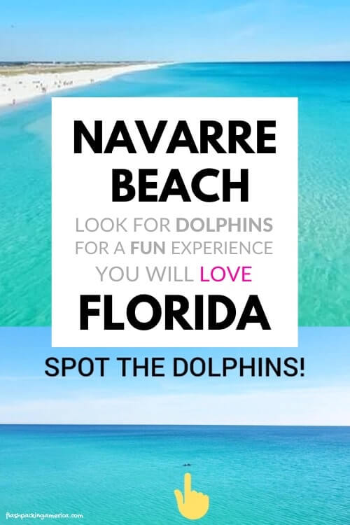 navarre beach dolphins in the florida panhandle