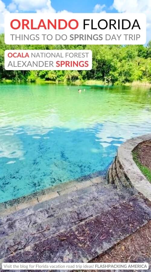 alexander springs swimming: best ocala national forest springs