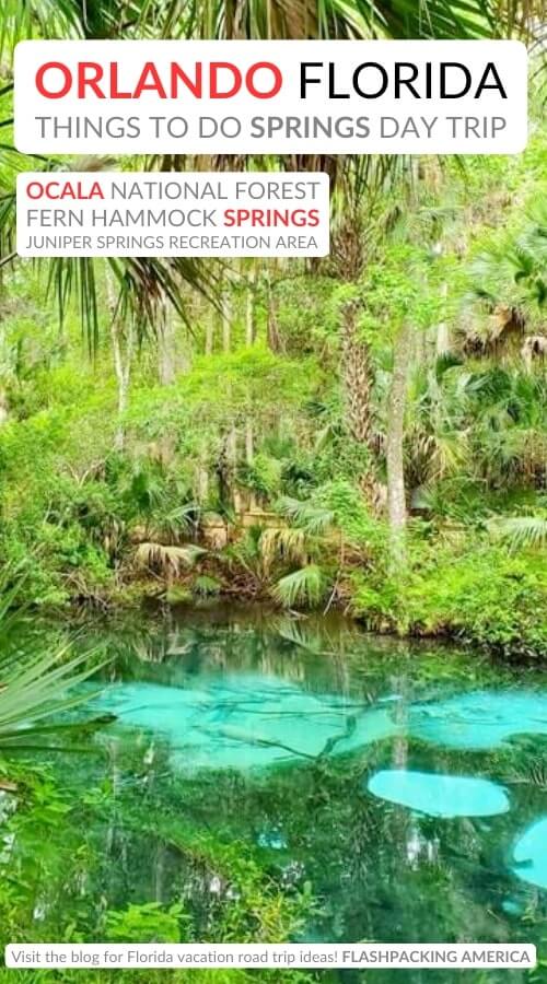 hidden fern hammock springs: best ocala national forest springs