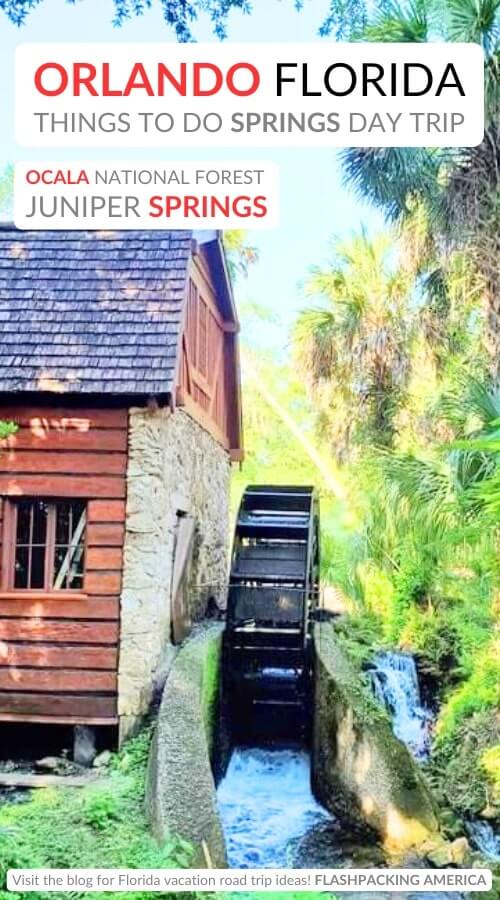 juniper springs mill: best ocala national forest springs