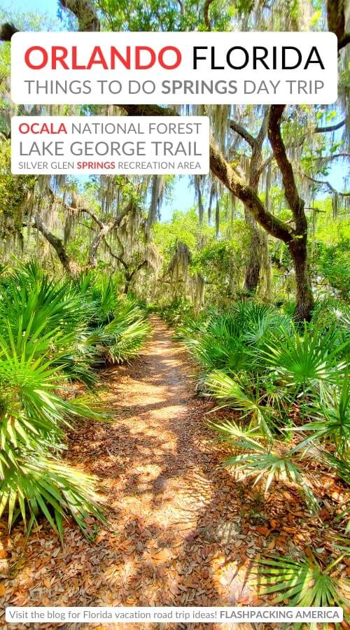 lake george trail hiking near springs: best ocala national forest springs