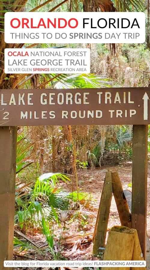lake george trail hiking near springs: best ocala national forest springs