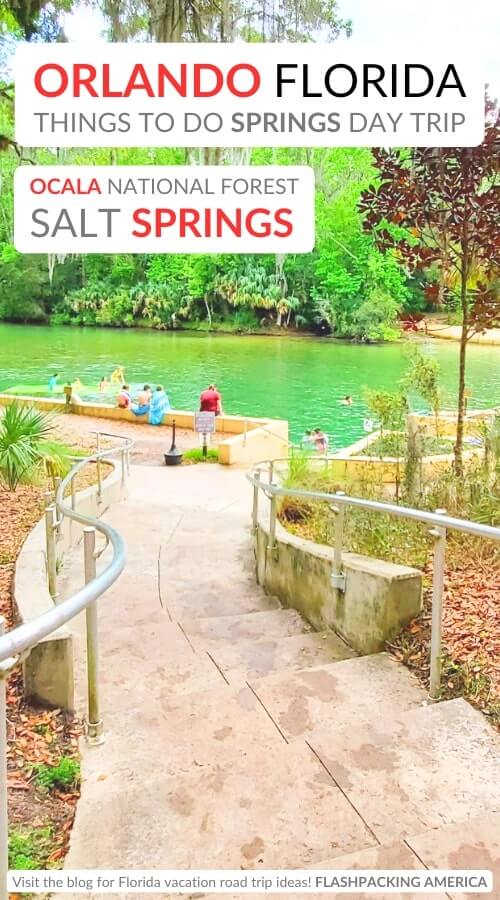 salt springs swimming: best ocala national forest springs