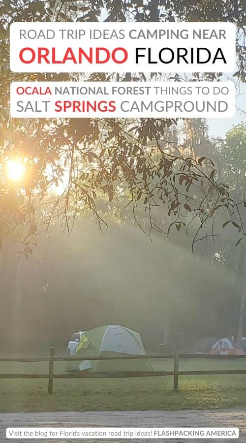 salt springs campground camping near springs: best ocala national forest springs