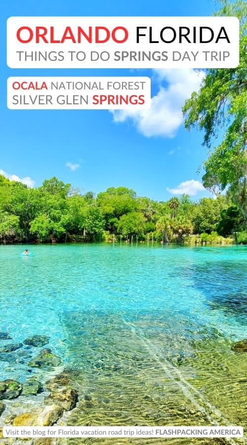 silver glen springs swimming: best ocala national forest springs