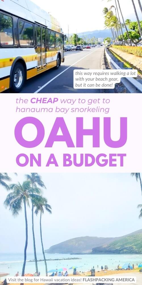 hanauma bay bus from waikiki