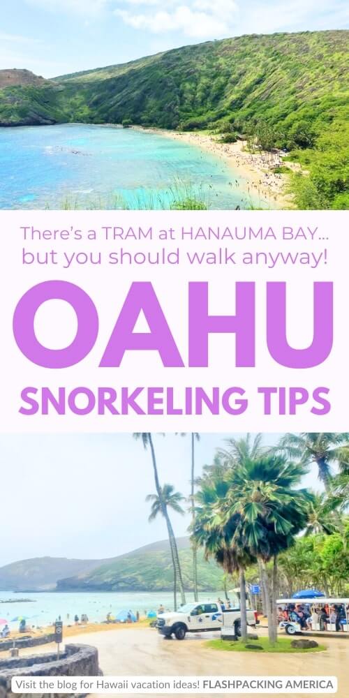 free hanauma bay tram