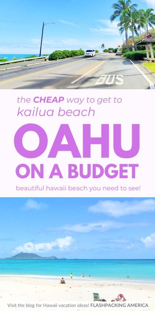 bus to kailua beach. oahu beaches