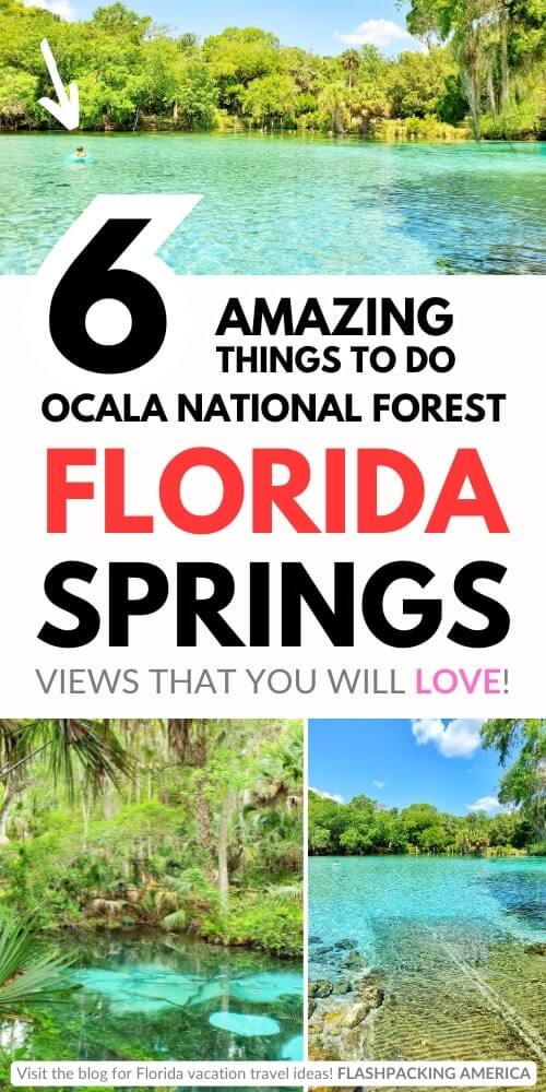 best ocala national forest springs in florida